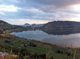  Phlegraean Fields 的葡萄园 